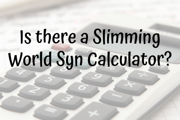 syn calculator from slimming world